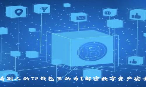 如何查看别人的TP钱包里的币？解密数字资产安全与隐私