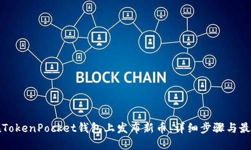 如何在TokenPocket钱包上发布新币:详细步骤与最佳实践