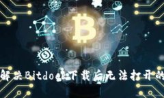 如何解决Bitdock下载后无法打开的问题