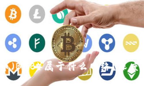 TP冷钱包:币安币(BNB)属于什么网络?深度解析及应用场景