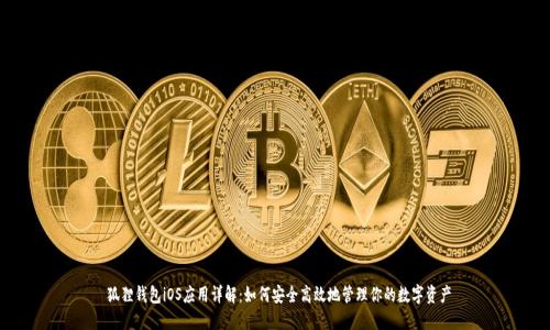 狐狸钱包iOS应用详解:如何安全高效地管理你的数字资产