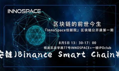 TP钱包电脑版如何新增币安链（Binance Smart Chain）？详细指南与常见问题解析