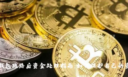 TP钱包跑路后资金处理指南：如何保护自己的资产