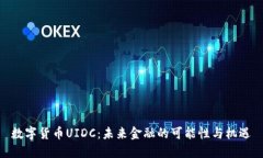 数字货币UIDC：未来金融的可能性与机遇